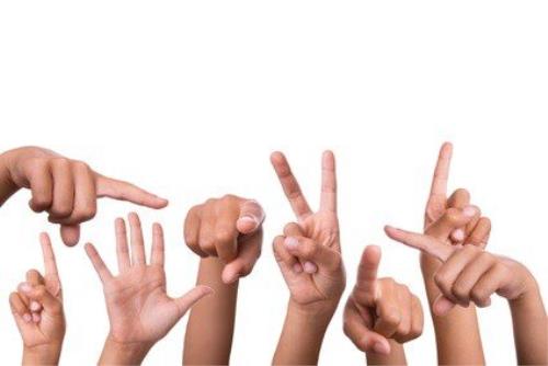زبان های اشاره، هویت زبانی و تنوع فرهنگی ناشنوایان