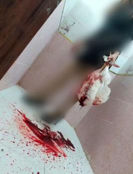 این زنان قصاب نیستند بیمار ند با ویروسی مسری تر از کرونا