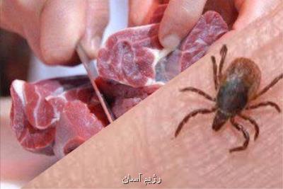 بیماری تب كنگو در كشور شیوع نیافته است