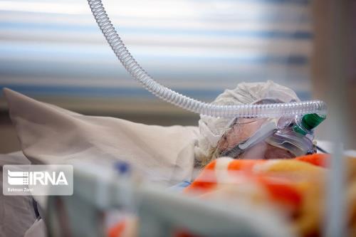 19 نفر بر اثر کرونا در قم جان باختند