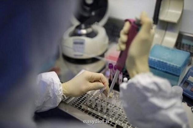 استقرار شبکه آزمایشگاهی پزشکی در دانشگاه های منتخب امسال