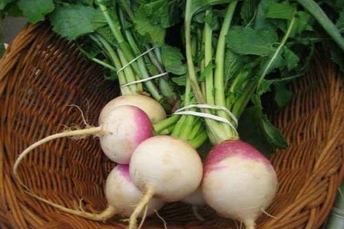 آیا شلغم برای سرماخوردگی مفیدست