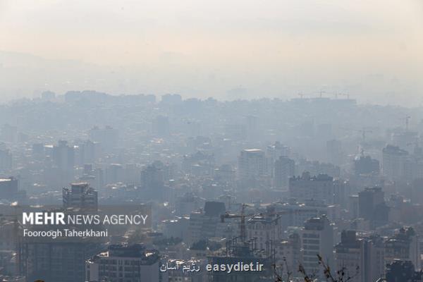 تاثیر مواد مغذی در کاهش تنگی نفس