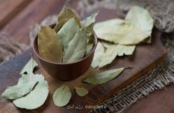 برگ بو این همه خاصیت دارد!