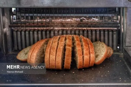 پویش ملی اطلاع رسانی تغذیه سالم با شعار نان و سلامت