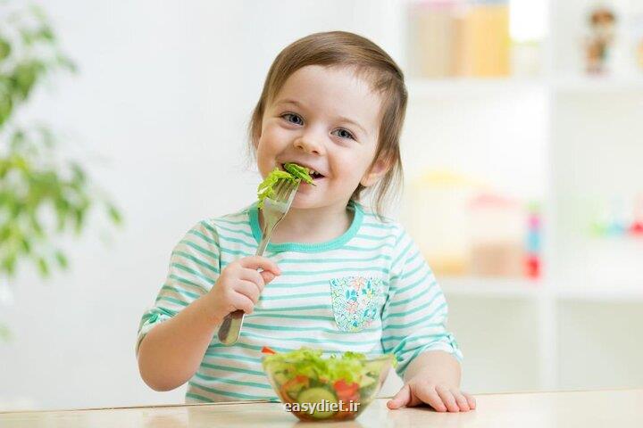راهکارهای ساده برای رویارویی با بدغذایی خردسالان در شروع سال تحصیلی