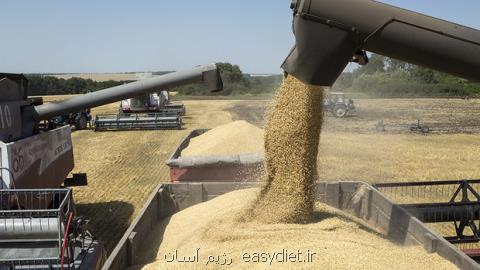 وجود ناخالصی در گندم های تحویلی به كارخانجات تولید آرد