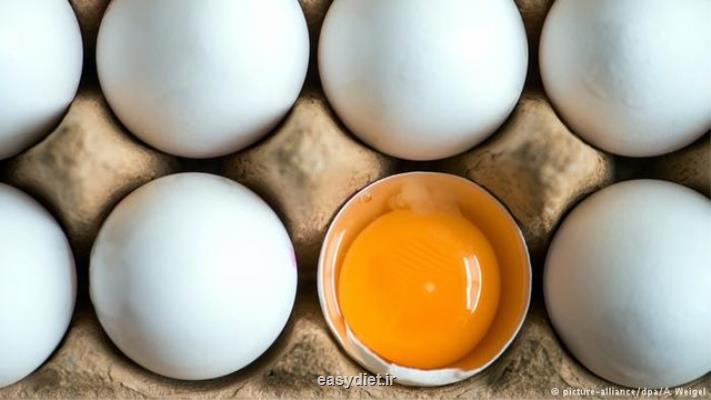 در مصرف تخم مرغ هوشیار باشید