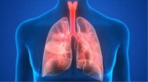 چه كسانی واكسن سینه پهلو تزریق كنند؟