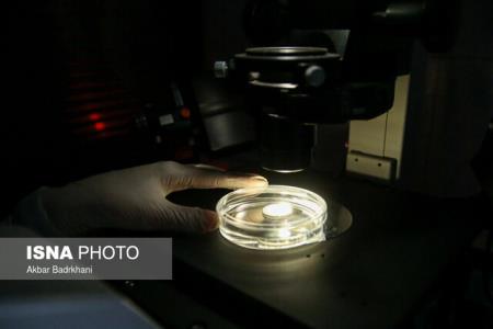 حمایت آزمایشگاه مطالعات استخوان و مفصل علوم پزشكی مشهد از پژوهش های درمان محور