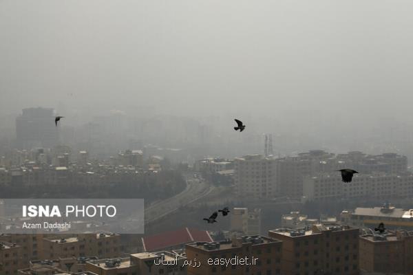 آلودگی هوا علت مرگ ۳هزار تهرانی بالای ۳۰ سال پارسال
