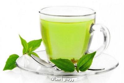 تاثیر چای سبز در مقابله با بیماری سل