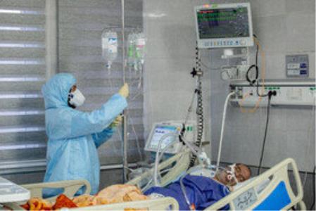 روند بهبود بیماران در كمیجان شیب صعودی به خود گرفته است