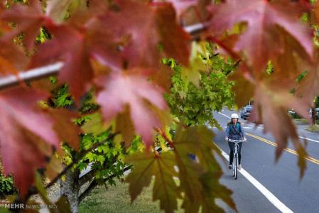 باید و نبایدهای فصل پاییز