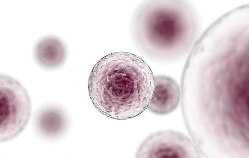 ابداع سلول های بنیادی نامرئی